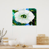 ジョージア・オキーフェアート ポスター (キッチン)