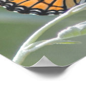 ジョージサンタヤナ引用文オン自然 ポスター (角)