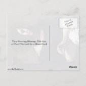 ジョージサンドのポートレートバイユージーンデラクロワ ポストカード (裏面)