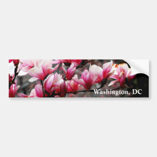 ジョージタウン大学、ワシントンD.C.、の花 バンパーステッカー