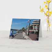 ジョージタウン、DC カード (黄色い花)