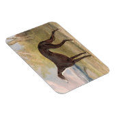 ジョージレーンキツネで勝利したグレイハウンドの一つ： the B マグネット (右側)