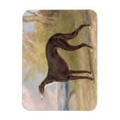 ジョージレーンキツネで勝利したグレイハウンドの一つ： the B マグネット (縦)