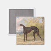 ジョージレーンキツネで勝利したグレイハウンドの一つ: the B マグネット (正面/裏面)