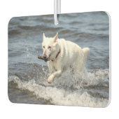 ジョージ湖に白いドイツのシェパード カーエアーフレッシュナー (左)