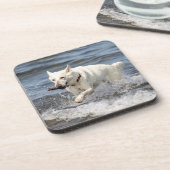 ジョージ湖に白いドイツのシェパード コースター (左側)