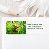 ジョージ・オランウタン ラベル (インサイチュ)