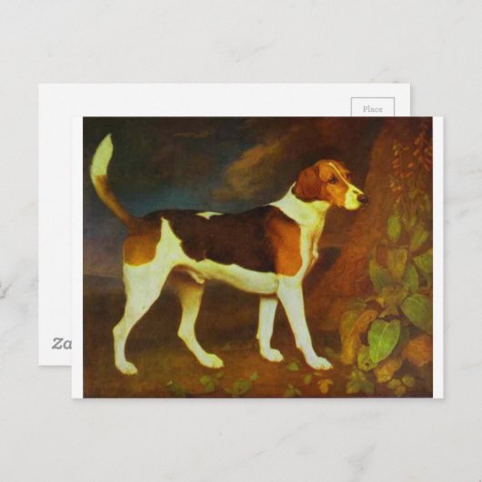 ジョージ・スタッブスによるフォックスハウンド、リングウッド ポストカード (正面/裏面)
