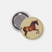 ジョージ・スタブスによるWhistlejacket マグネット (正面/裏面)