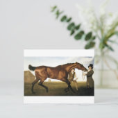 ジョージ・スタブズによって浜星人 ポストカード (スタンド正面)