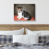 ジョージ・スタブズ |ア恋しく思ン・ホワイトの子猫， 1790 キャンバスプリント (インサイチュ (寝室))