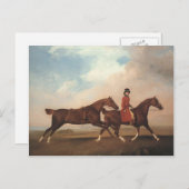 ジョージ・スタブズ – ウィリアム・アンダーソン、馬2頭 ポストカード (正面/裏面)