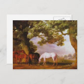 ジョージ・スタブズ – 森に囲まれた森の中のマレス&フォール ポストカード (正面/裏面)