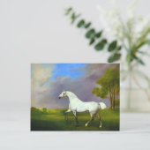 ジョージ・スタブズ – 灰色の馬 ポストカード (スタンド正面)