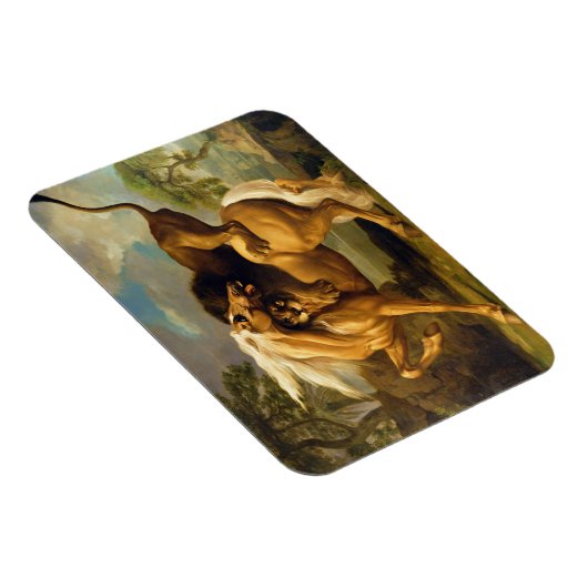 ジョージ・スタブズ | A Lionが馬を攻撃C.1762 ( マグネット (右側)