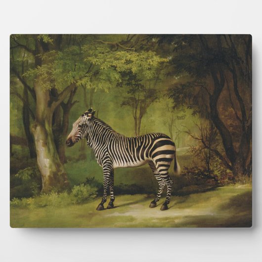 ジョージ・スタブズ | A Zebra, 1763 (キャンバス上の油) フォトプラーク (正面)