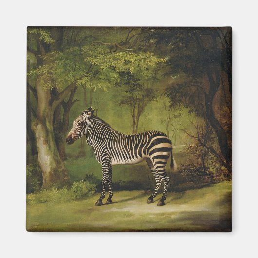 ジョージ・スタブズ | A Zebra, 1763 (キャンバス上の油) マグネット (正面)