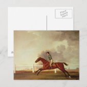 ジョージ・スタブズ | Bay MaltonとJohn Singleton Up ポストカード (正面/裏面)