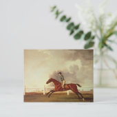 ジョージ・スタブズ | Bay MaltonとJohn Singleton Up ポストカード (スタンド正面)