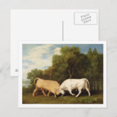 ジョージ・スタブズ | Bulls Fighting, 1786 (パネルの油) ポストカード (正面/裏面)