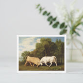 ジョージ・スタブズ | Bulls Fighting, 1786 (パネルの油) ポストカード (スタンド正面)