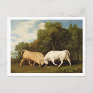 ジョージ・スタブズ Bulls Fighting, 1786 (パネルの油) ポストカード