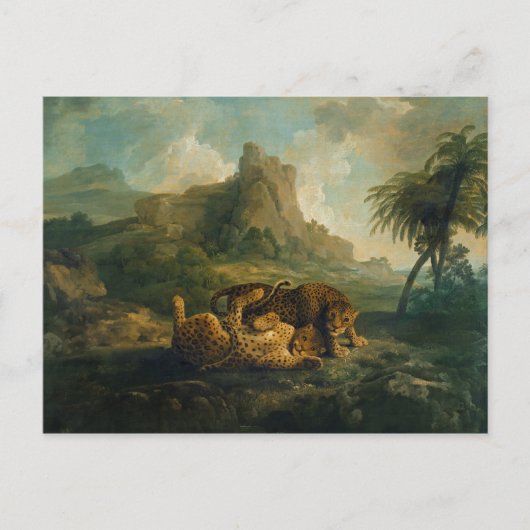 ジョージ・スタブズ | c.1763遊-8のヒョウ ポストカード (正面)