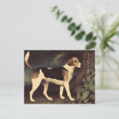 ジョージ・スタブズ | Ringwood, a Brocklesby Foxhound, 1 ポストカード (スタンド正面)