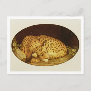 ジョージ・スタブズ Sleeping Leopard, 1777 (エナメルオン) ポストカード
