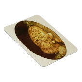 ジョージ・スタブズ | Sleeping Leopard, 1777 （エナメルオン） マグネット (右側)