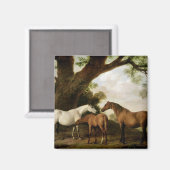 ジョージ・スタブズ | Two Shaft Mares and a Foal, 1774 マグネット (正面/裏面)