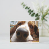 ジョージ ポストカード (スタンド正面)