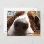 ジョージ ポストカード (正面/裏面)