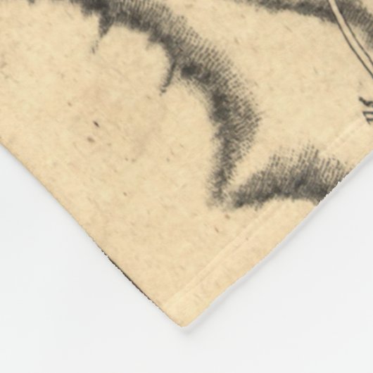 ジョージ・ワシントントレントンNJの戦場の地図1777年 フリースブランケット (角)