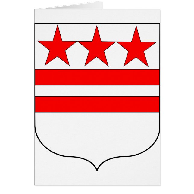 ジョージ・ワシントン家族の公式の紋章付き外衣 (正面)