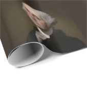 ジョージ・ワシントン ラッピングペーパー (ロールコーナー)