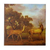 ジョージStubbs-のアカシカの雄鹿および後部 タイル (正面)