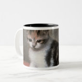 ジョージStubbs |の失敗アンの白の子ネコ1790年 ツートーンマグカップ (正面左)