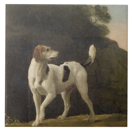 ジョージStubbs | Foxhound、c.1760 (紙lの油 タイル (正面)