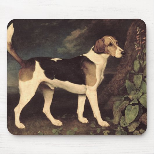 ジョージStubbs | RingwoodのBrocklesbyのFoxhound、1 マウスパッド (正面)