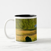 ジョーダンの芝生の上のアディロンダックの椅子 ツートーンマグカップ (左)