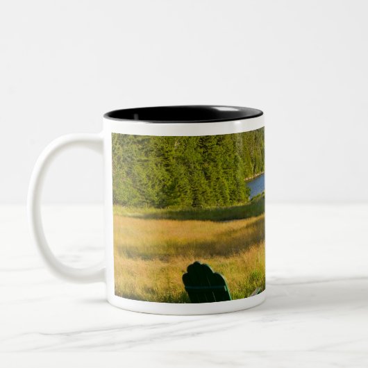 ジョーダンの芝生の上のアディロンダックの椅子 ツートーンマグカップ (左)