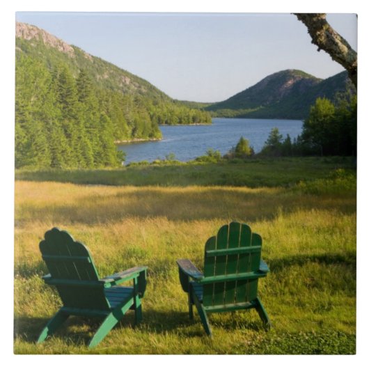 ジョーダンの芝生の上のアディロンドラックの椅子 タイル (正面)