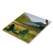 ジョーダンの芝生の上のアディロンドラックの椅子 タイル (側面)