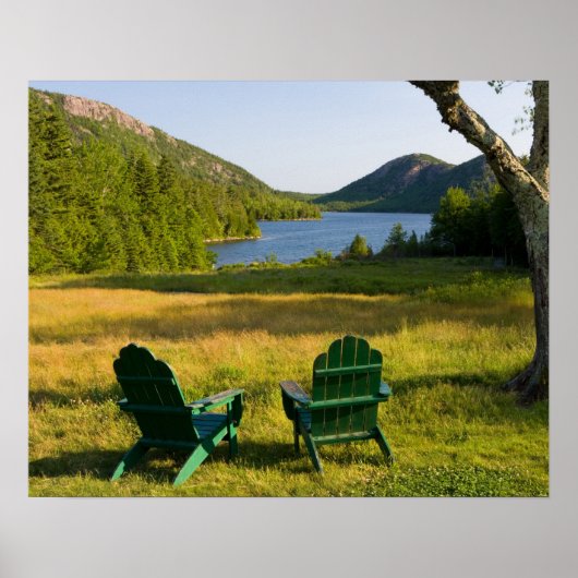 ジョーダンの芝生の上のアディロンドラックの椅子 ポスター (正面)