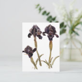 ジョーダンの黒い虹彩 ポストカード (スタンド正面)