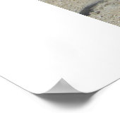 ジョーダン・ジェール ポスター (角)