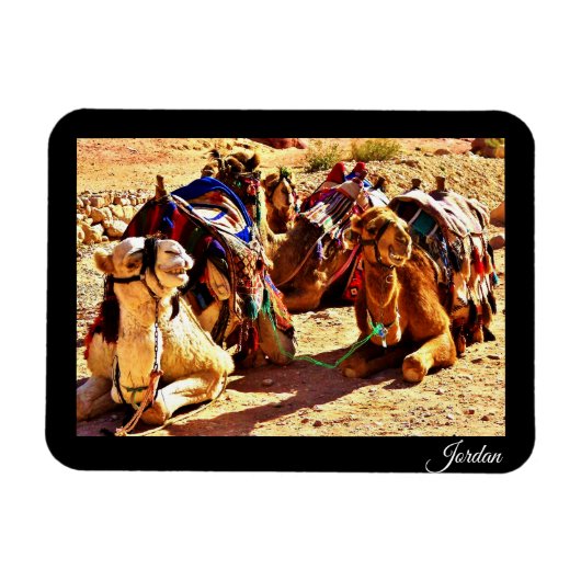 ジョーダン マグネット (横)