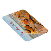 ジョーダン・マグネット、死海 マグネット (右側)