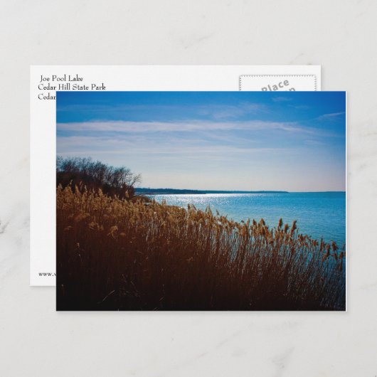 ジョープールレイクはがき ポストカード (正面/裏面)